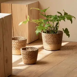 Geflochtene Übertöpfe in Naturfarbe, zweifarbig, mit grüner Pflanze auf einem Holzblock
