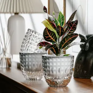 Transparenter Blumentopf mit Rautenmuster und Pflanze auf einer Kommode