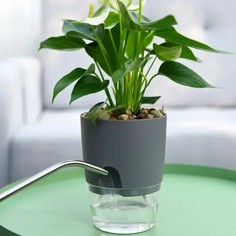 Grauer Blumentopf mit transparentem Wasserbehälter und Pflanze auf grünem Tisch