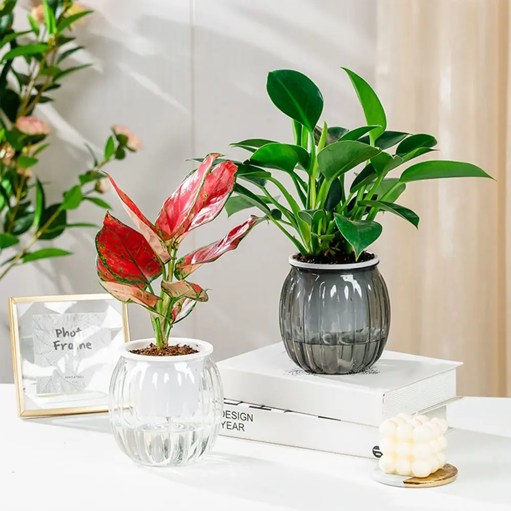 Blumentopf transparent, gerippt und bauchig – Bild 2