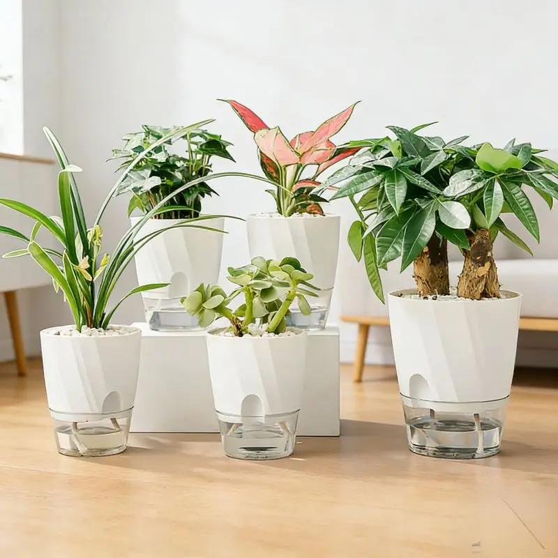 Indoor Blumentopf weiß mit transparentem Unterteil – Bild 3