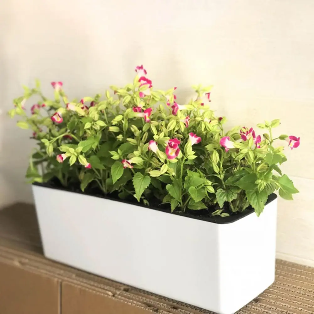 Länglicher Blumentopf Plastik, rechteckiger Pflanzkasten – Bild 3
