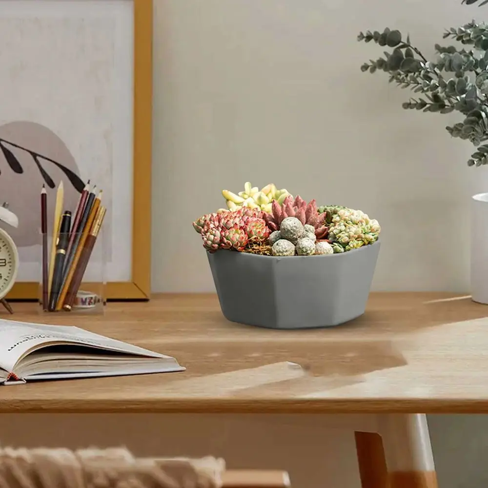 Blumentopf Grau, achteckig und flach, mit Untersetzer – Bild 3
