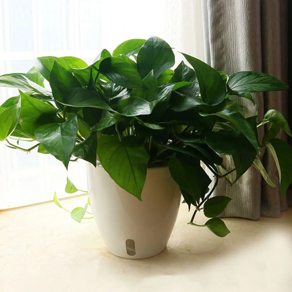 Blumentopf mit Einsatz und Schlitz am Fuß, konisch – Bild 4