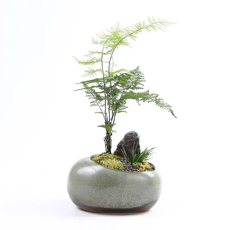 Blumentopf in Keramik-Optik, flache Schale, Steinoptik – Bild 5