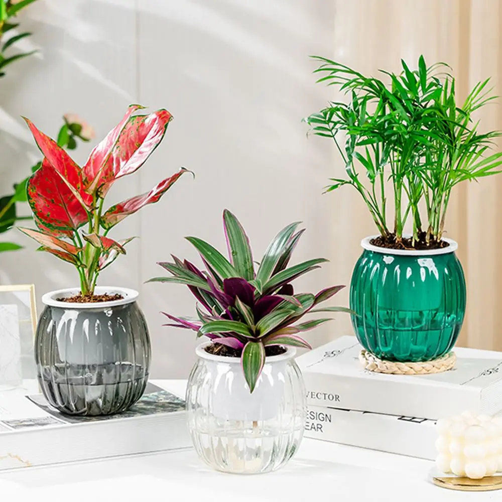 Blumentopf transparent, gerippt und bauchig – Bild 5