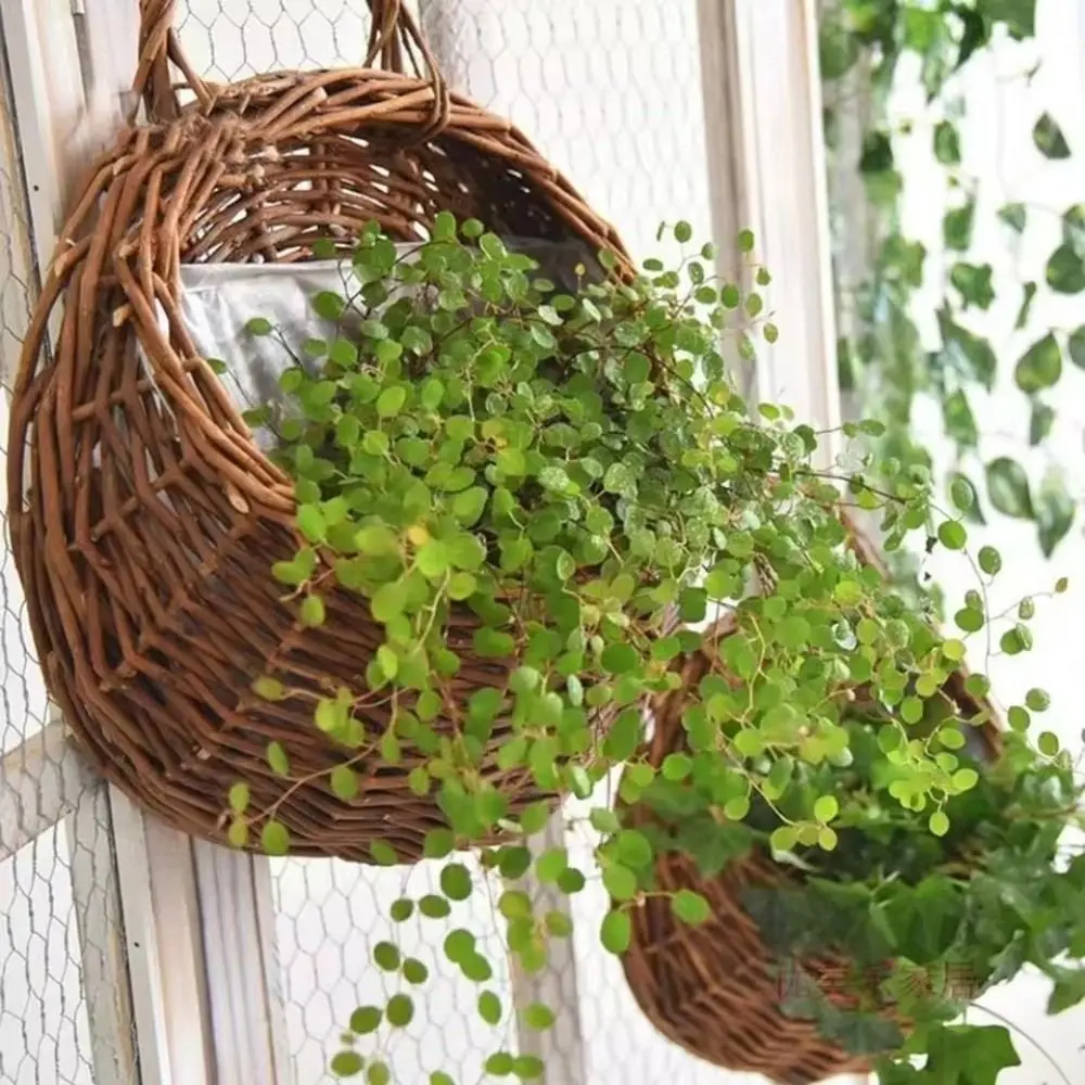 Blumenübertopf Hellgrau rund, geflochten mit Henkel – Bild 4