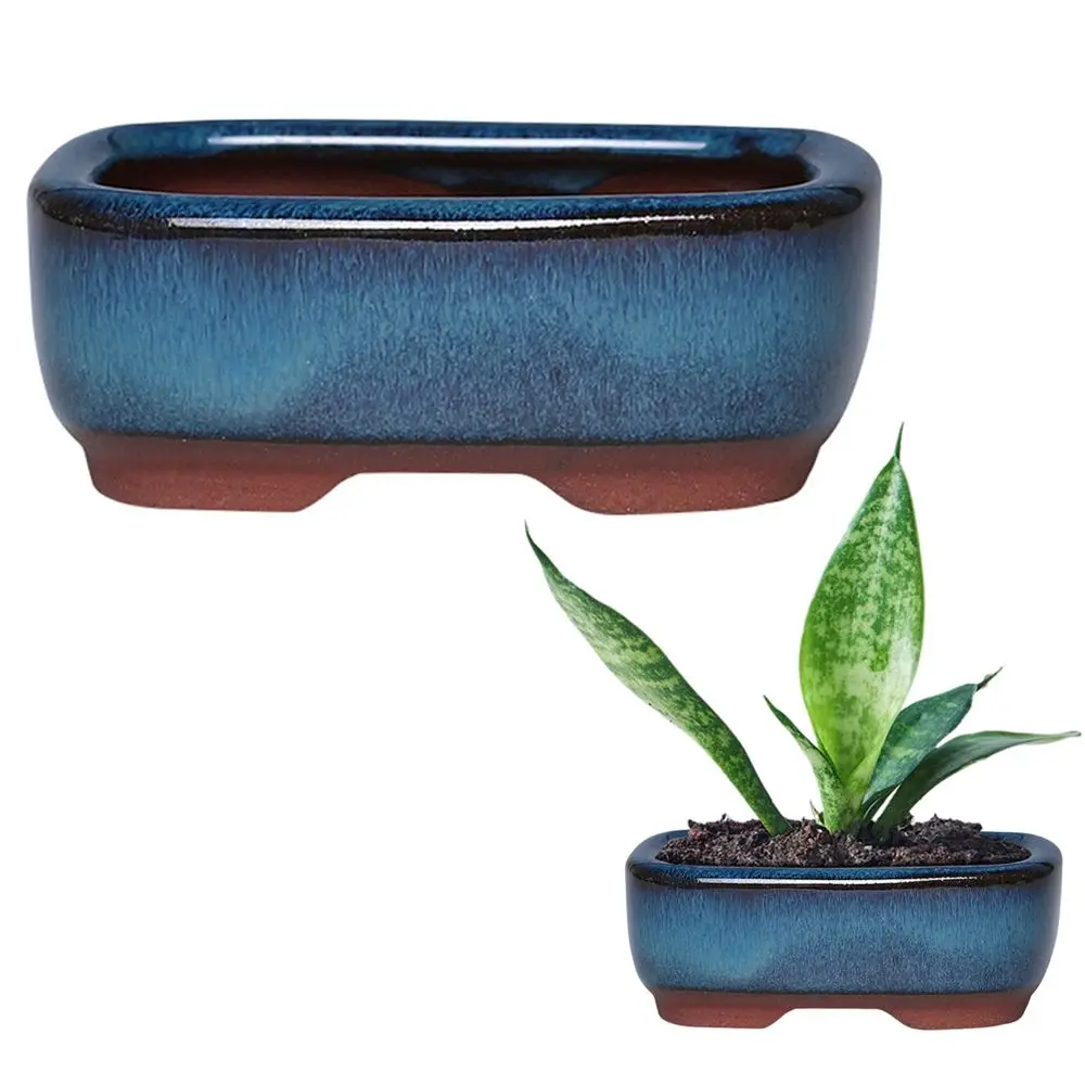 Länglicher Blumentopf für innen, flach, mit glänzender Oberfläche – Blau