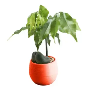 Blumentopf Rot Kunststoff, klein, rund mit Rillen – Rot