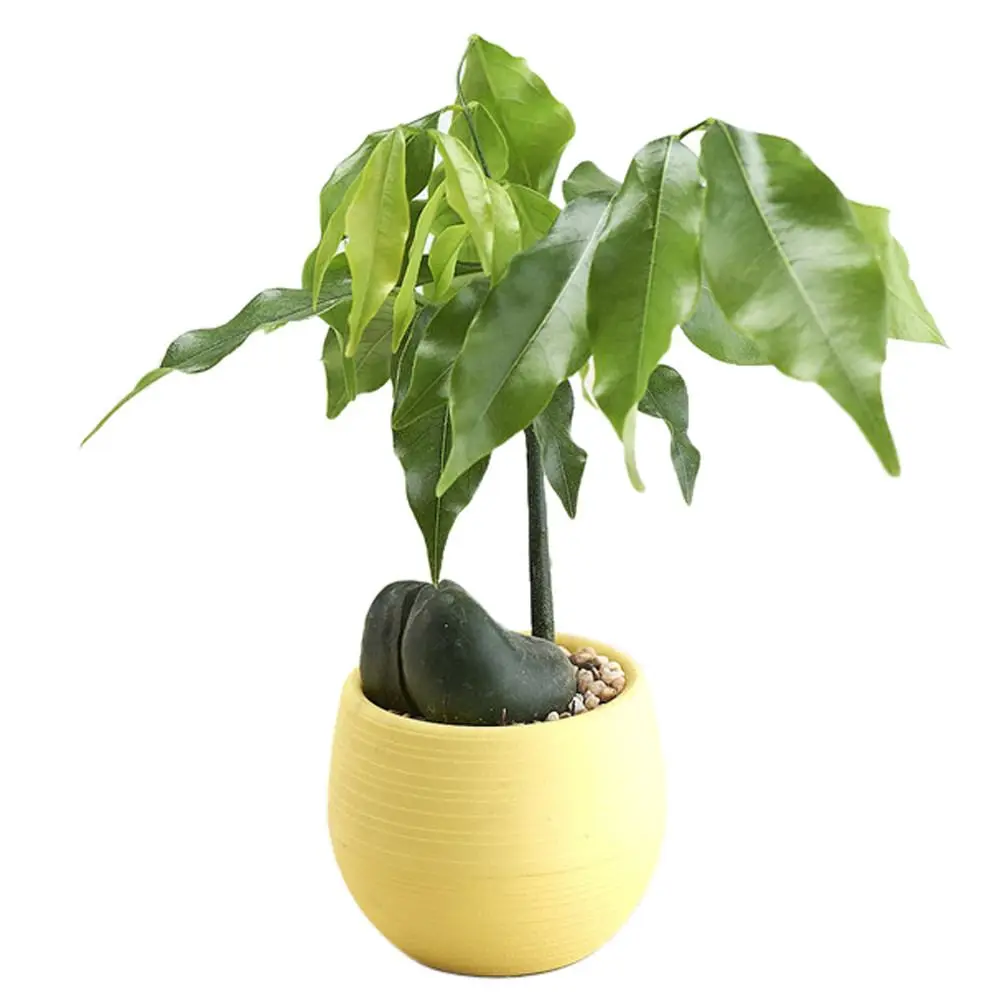 Blumentopf Rot Kunststoff, klein, rund mit Rillen – Gelb